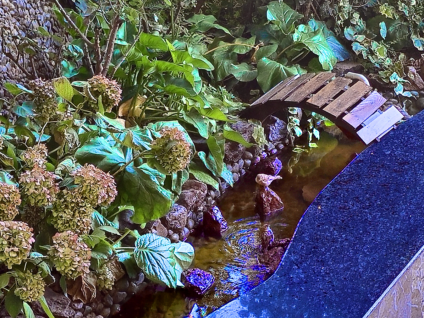 Outside