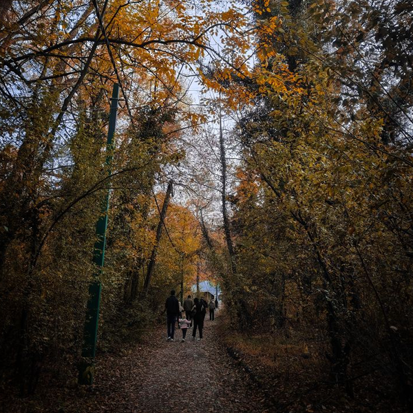 Dachigam National Park