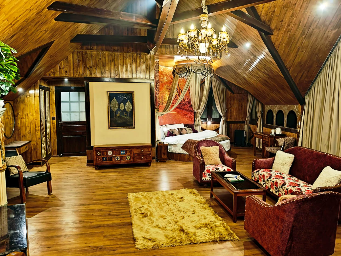 Room Photo